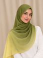 Green Ombré Modal